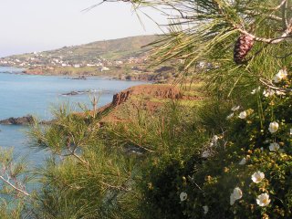 The Cypriot coast at Pomos
