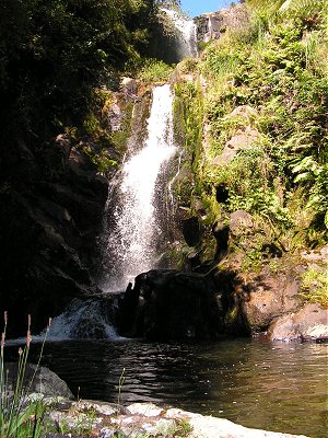 Waterfall on reserve near Mount Manganui