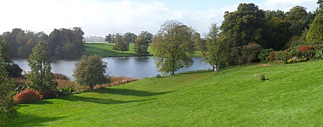 Dudmaston Lake