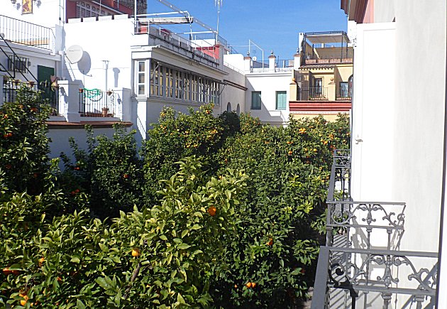 From our room balcony at the Hotel Palacio Alc�zar