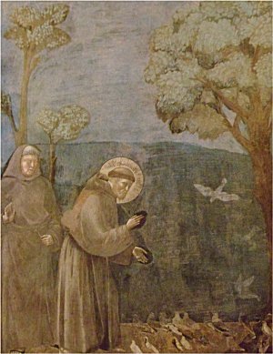 The sermon to the birds by Giotto