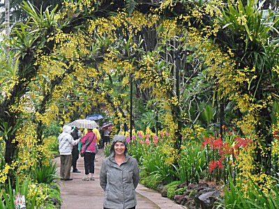 Golden Shower Arches in Singapore Botanic Garden