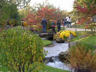 Hasselt Japanese Garden