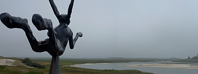 The mad rabbit at Het Zwin