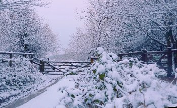 Winter, Quantock Hills, Somerset