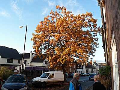 West Castle Street